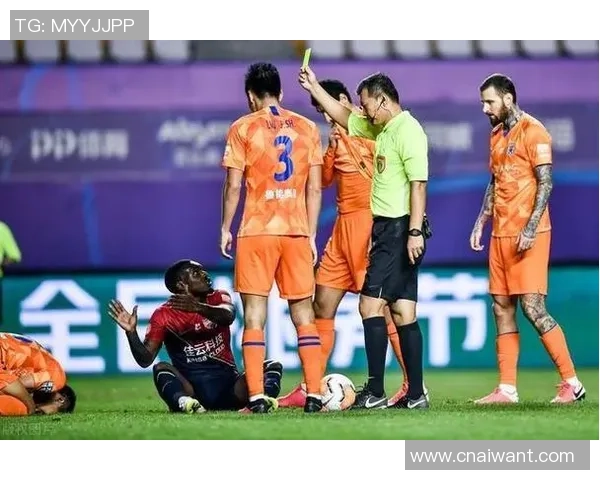 西安排球队配合引发热议球迷对战术选择产生分歧